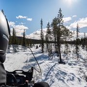 Kiruna : Visite guidée en motoneige avec déjeuner