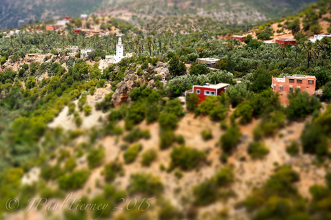 Agadir or Taghazout: Paradise Valley Atlas Mountain Trip