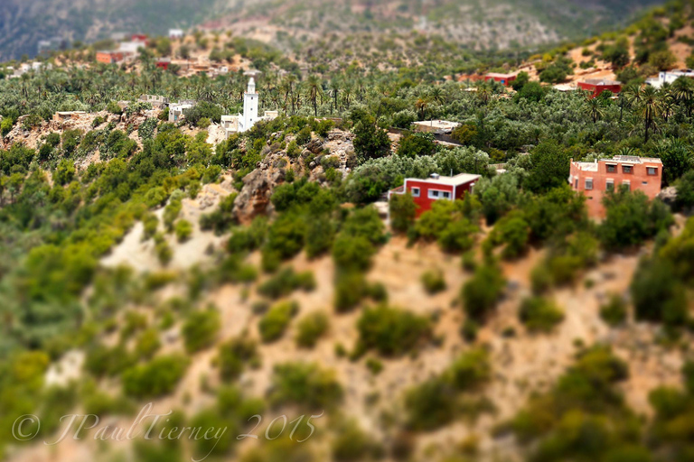 Agadir or Taghazout: Paradise Valley Atlas Mountain Trip