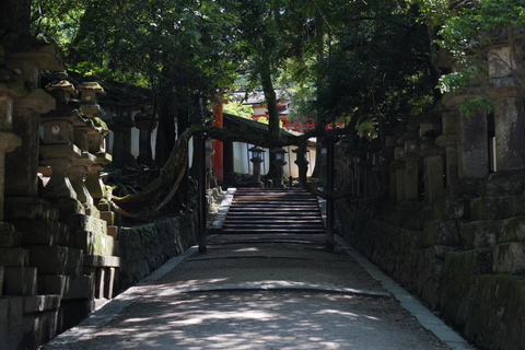 Tour por Kioto y Nara con Fushimi Inari y el parque de los ciervos