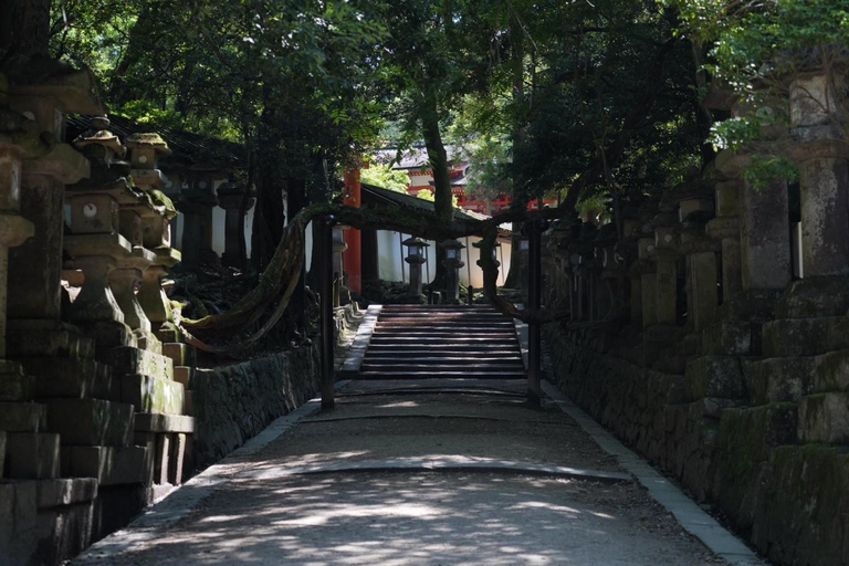 Tour por Kioto y Nara con Fushimi Inari y el parque de los ciervos