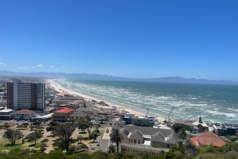 Cape of Good Hope & African Penguins Small Group Tour