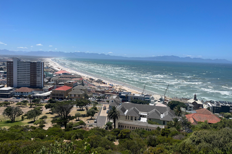 Cape of Good Hope & African Penguins Small Group Tour