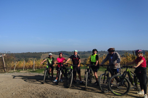 Gavi: E-Bike Tour with Wine Tasting