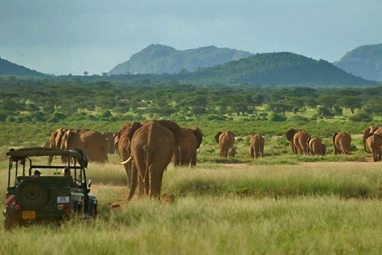 4Dagen Aberdare & Samburu luxe Safari -4x4 LandCruiser Jeep4-daagse Aberdare en Samburu lodge-safari