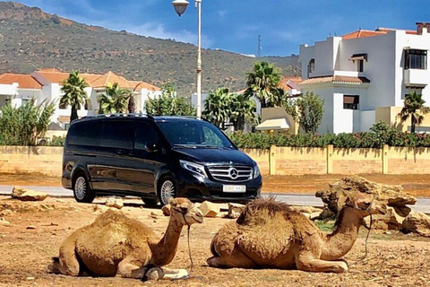 Descubra Chefchaouen a partir de Tânger