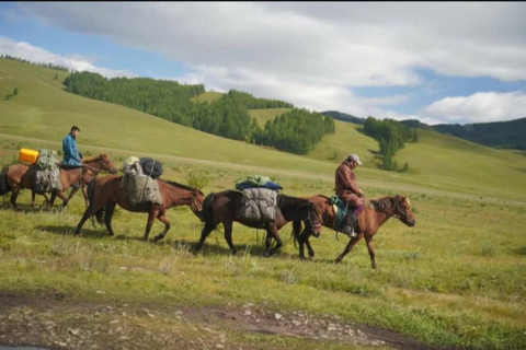 3 days horse trek tour in Terelj national park