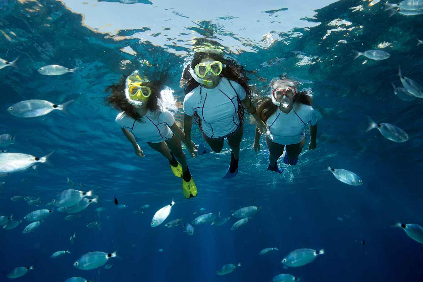 Genoa: snorkeling a stone's throw from downtown