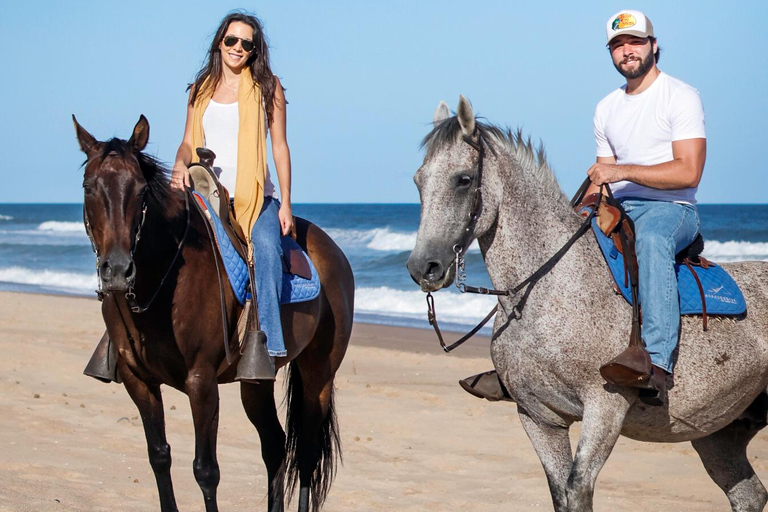 Jose Ignacio: Unforgettable Coastal Horseback at the Beach