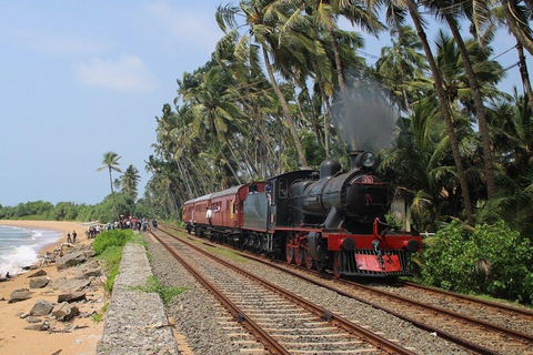 Galle Day Tour With Scenic Coastal Train Ride From Colombo Colombo-Galle Scenic Train Ride & Southern Highlights Tour