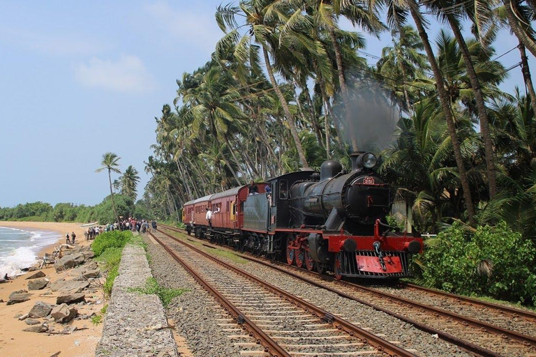 Galle Day Tour With Scenic Coastal Train Ride From Colombo Colombo-Galle Scenic Train Ride & Southern Highlights Tour