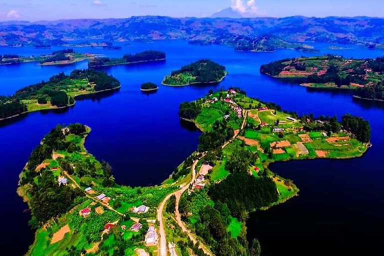 Uganda: 9-Day Roundtrip with Chimpanzee Tracking