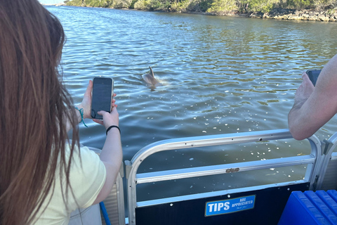 Cocoa Beach: Dolphin & Manatee Small Group Eco Boat Tour