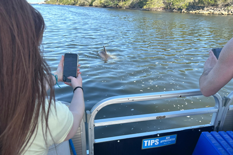 Cocoa Beach: Dolphin & Manatee Small Group Eco Boat Tour