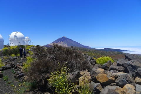 Tenerife : Le Teide et les étoilesT&S : Observation astronomique avec prise en charge dans le sud