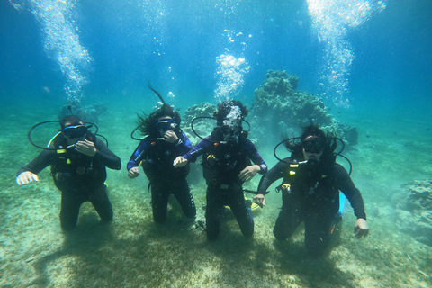 5 Days - 10 Boat dives package for Certified diver