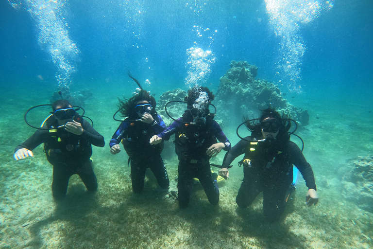 5 Days - 10 Boat dives package for Certified diver