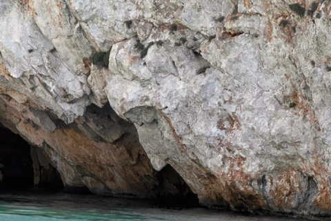 Zakynthos: Private Speedboat Tour to the Shipwreck and swim