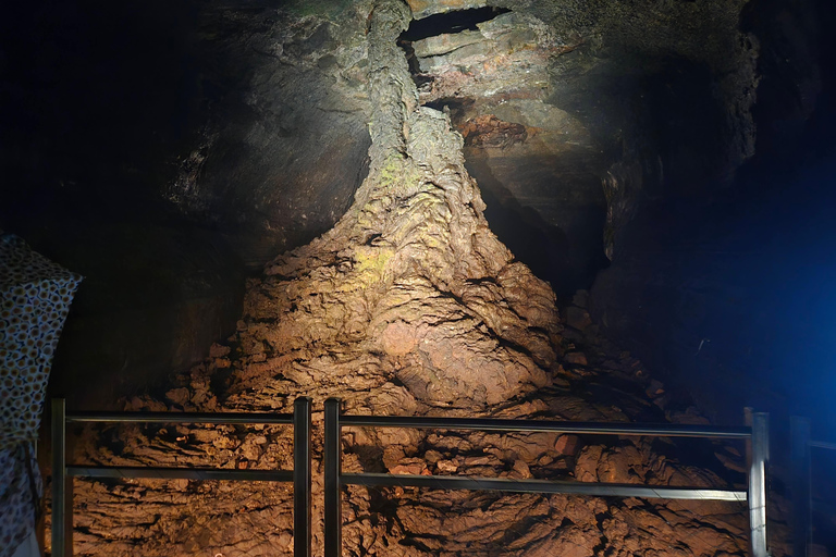 Jeju: Full-Island Top Highlights Day Tour with UNESCO Sites