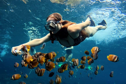 Nusa Penida: Snorkeling Adventure at Manta Point Sharing Boat: Manta Point & Gamat Bay Adventure