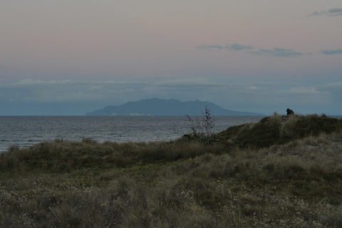 Tawharanui: Kiwi spotten & sterrenkijken tour met optioneel verblijfRondreis met Glamping Experience