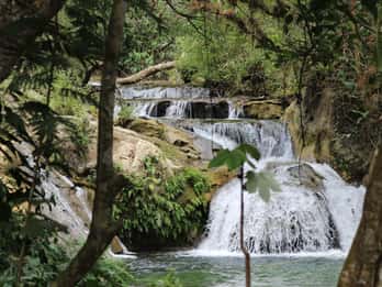 Cascadas, Café y Tour de Aventura, Huatulco