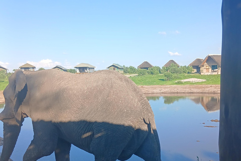 From Victoria Falls: Maun Transfer with Elephant Sands Stop