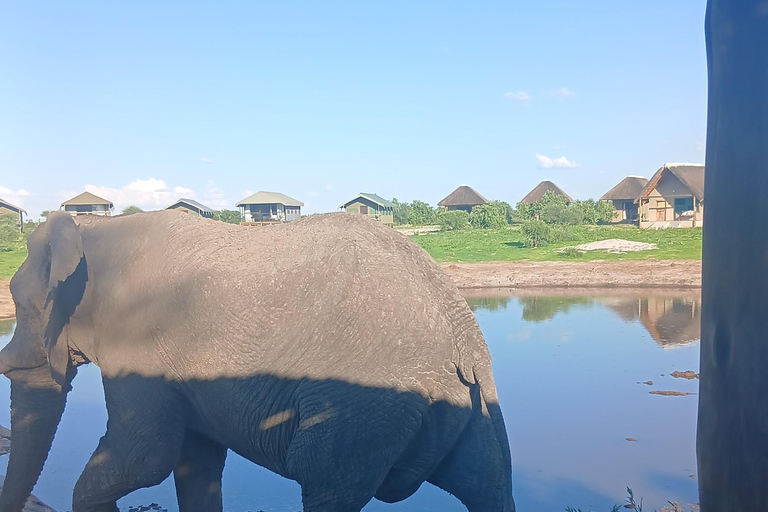 From Victoria Falls: Maun Transfer with Elephant Sands Stop
