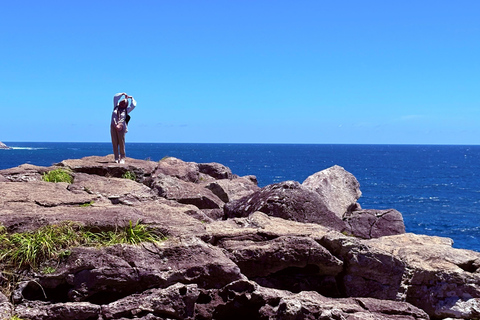 Jeju Trendy Café Tour and When Life Gives You Tangerines