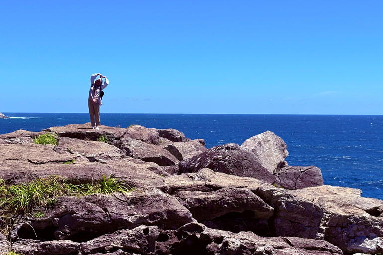 Jeju Trendy Café Tour and When Life Gives You Tangerines