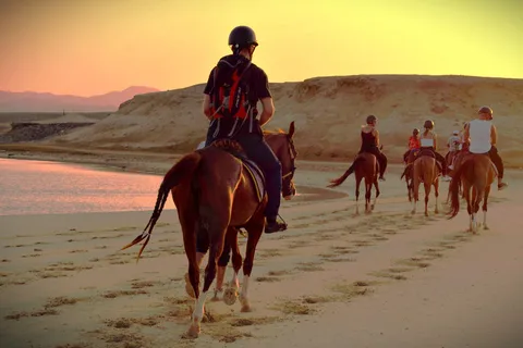 Hurghada: Sunset Sea, Desert Horse W Opt, Dinner, Stargazing