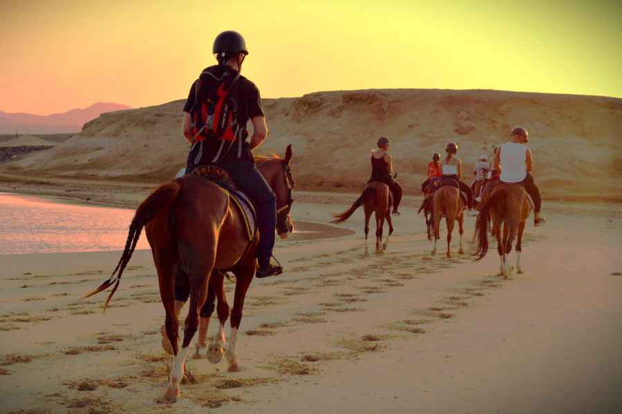 Hurghada: Sonnenuntergang am Meer, Wüstenpferd W Opt, Abendessen, Sternguckerei