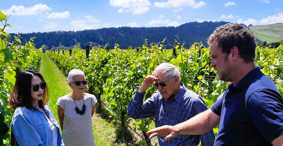 Martinborough Wein- und Foodtour mit Mittagessen ab Wellington