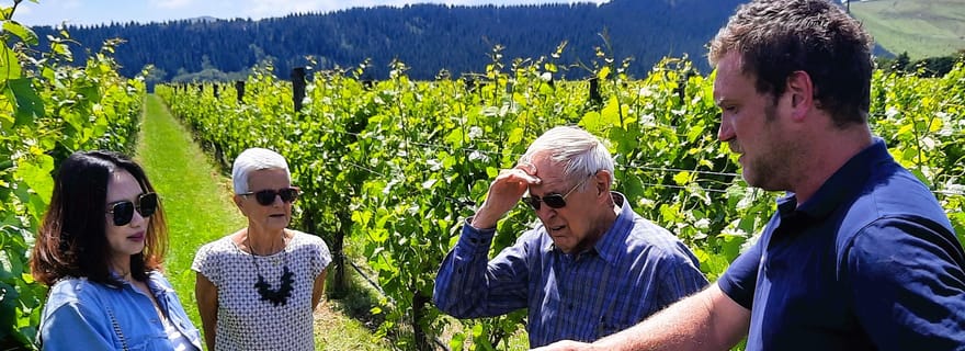 Visite culinaire et vinicole de Martinborough avec déjeuner au départ de Wellington