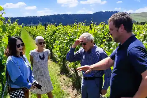 Martinborough Wine and Food Tour with Lunch from Wellington