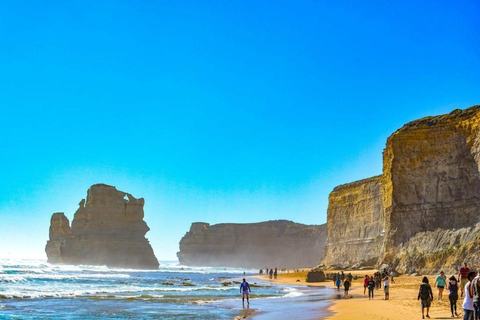 Melbourne: Great Ocean Road Full Day Private Tour Join-in small group tour （door-to-door pick-up, max 12 pax)