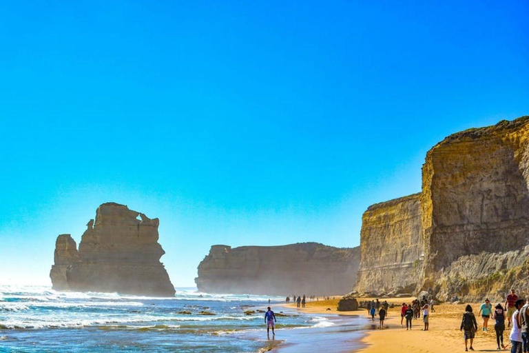 Melbourne: Great Ocean Road Full Day Private Tour Join-in small group tour （door-to-door pick-up, max 12 pax)