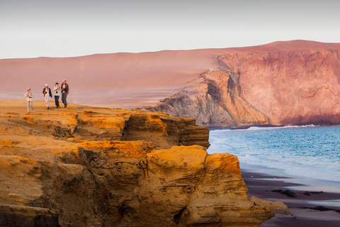 Von Ica: Ballestas-Inseln und Paracas-Nationalreservat ...