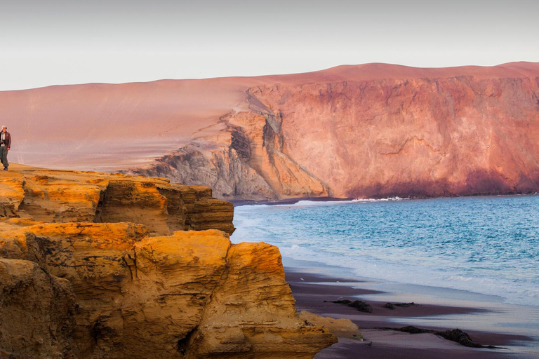 Tour di 1 giorno a Ballestas e alla Riserva Nazionale di Paracas