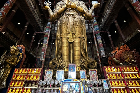 أولان باتور: جولة سير خاصة مع مرشد محليجولة سيرًا على الأقدام لمدة ساعتين