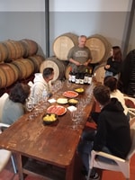 Guided vineyard&cellar tour + 6 wine tasting with tapas - Housity