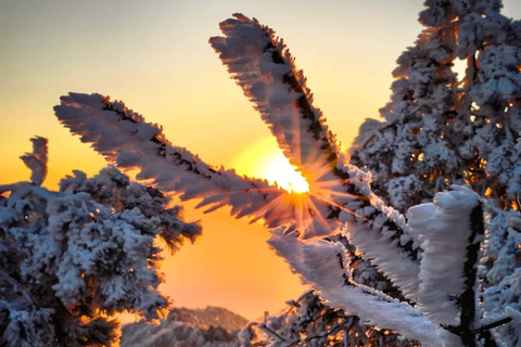 From Shanghai: Taizi Peak Stargazing and Sunrise Hike