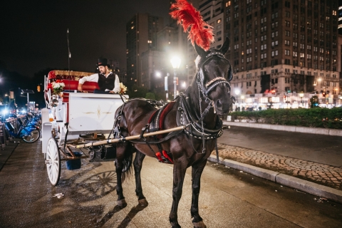 Rit met paard en wagen in Central Park, Rockefeller en Times Square