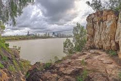 Brisbane: City Tour with Koala Sanctuary