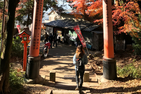 Interior de Fushimi Inari - exploración y almuerzo con los lugareños