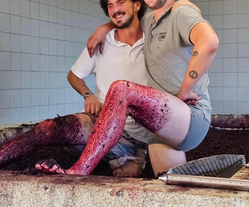 Valle del Duero: Tour del Vino, la Historia y Fernando de Magallanes