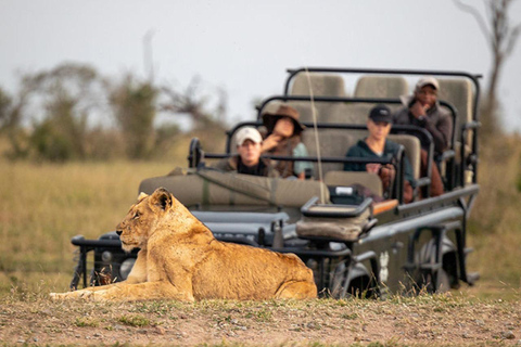 From Zanzibar:Mikumi Safari Day Trip with Flights and Lunch
