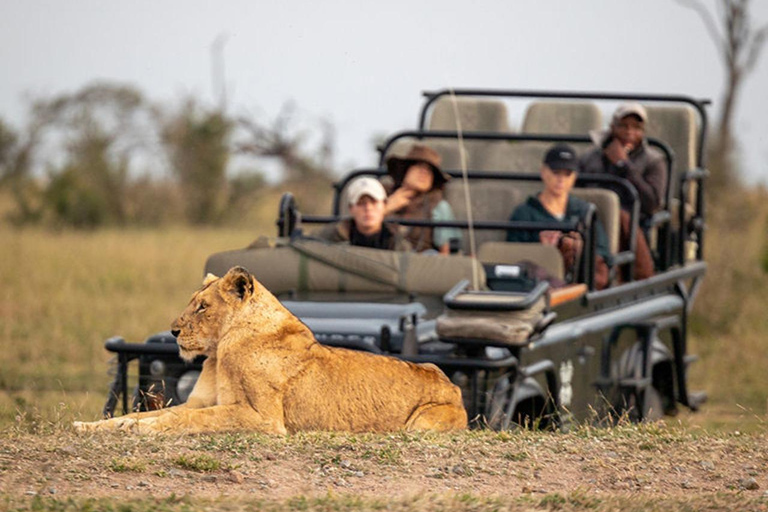 From Zanzibar:Mikumi Safari Day Trip with Flights and Lunch