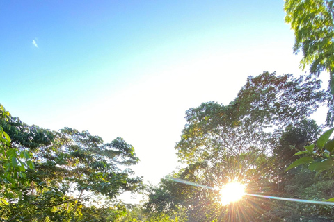 Itacaré: Maraú - 5-Day Silence and Purification Retreat