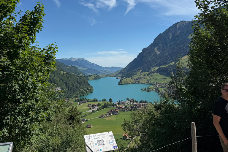 From Lucerne: Private Day Trip to Interlaken, Grindelwald